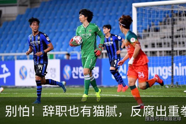 别怕！辞职也有猫腻，反腐出重拳！